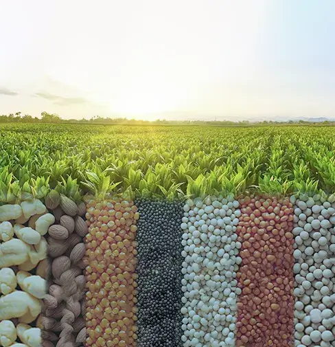 Agricultural Commodities