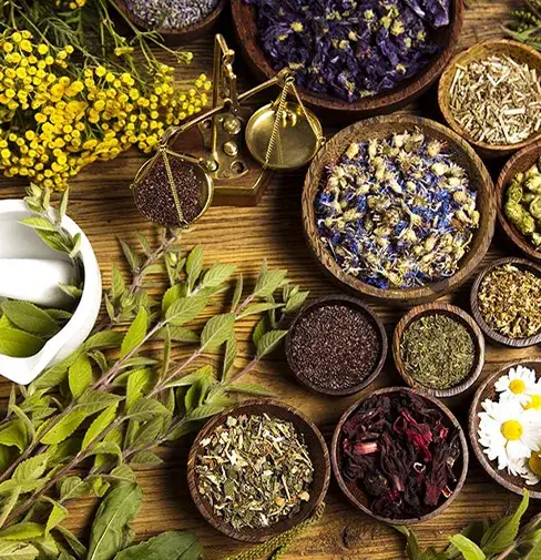 Herbal Extraction