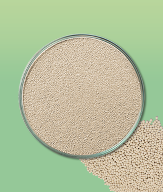 Zeolite Molecular Sieves 3A